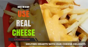 In-N-Out's Cheese: Real or Fake?