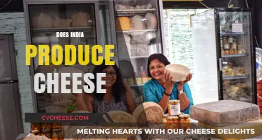 Exploring India's Dairy Scene: Does India Produce Cheese?