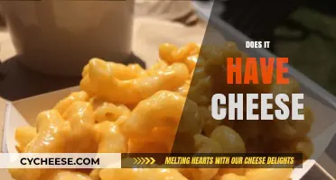 Does It Have Cheese? Exploring the Cheesy Truth Behind Your Favorite Foods