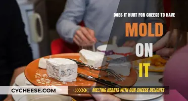Moldy Cheese: Is It Safe to Eat or Should You Toss It?