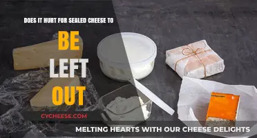Does Sealed Cheese Spoil if Left Out Overnight? Facts Revealed