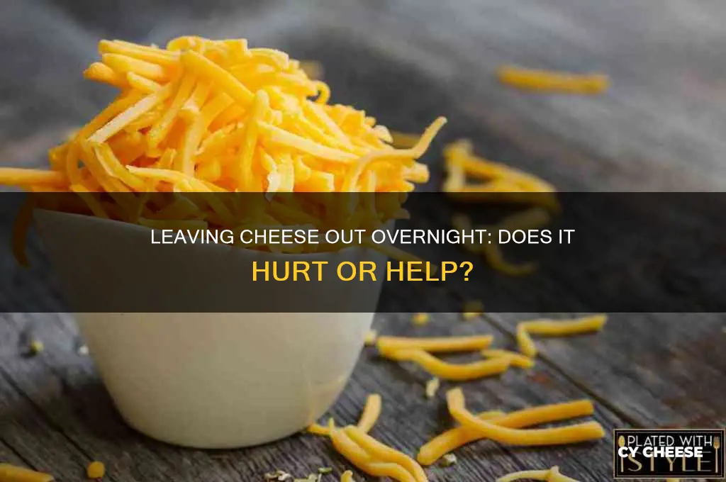does it hurt to leave cheese out overnight