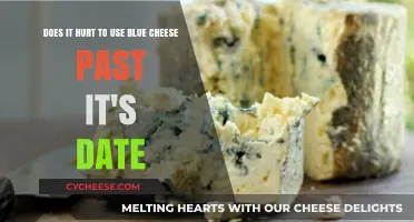 Blue Cheese: Safe to Eat After Expiry?