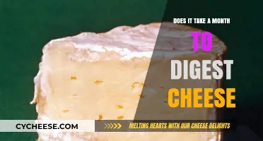 Cheese Digestion Myth: Unraveling the Month-Long Process Truth