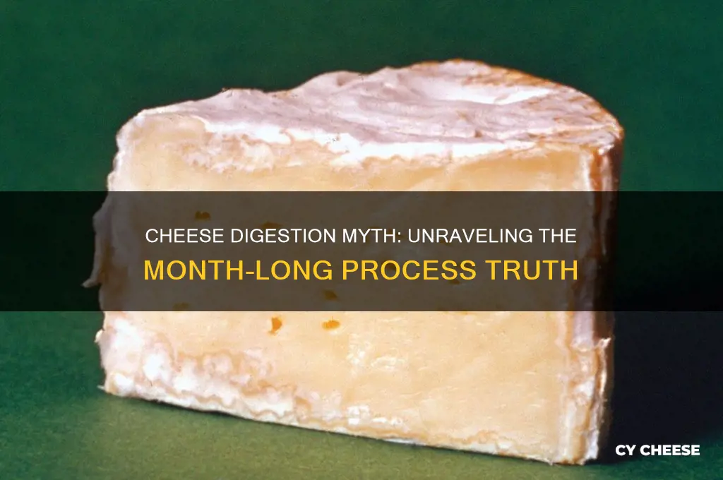 does it take a month to digest cheese