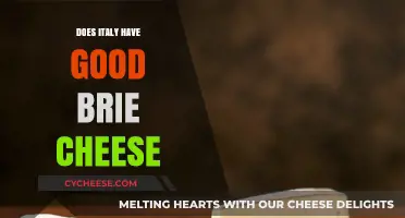 Italy's Brie Cheese: A Delicious Surprise