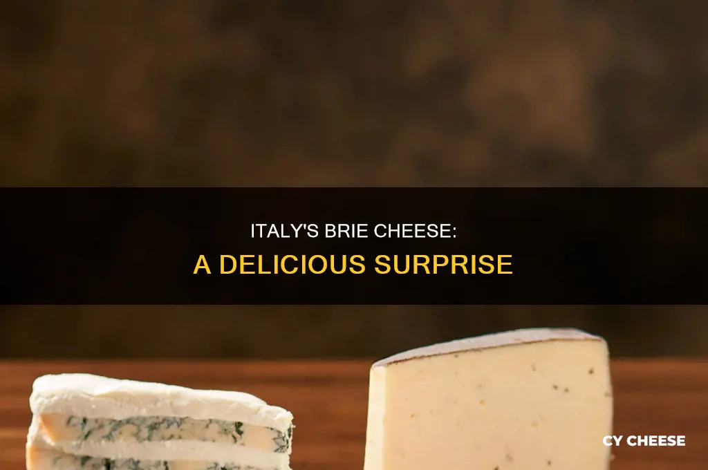 does italy have good brie cheese