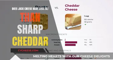 Jack vs. Cheddar: Unveiling the Fat Difference