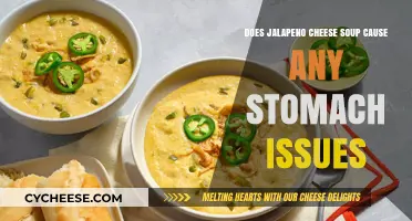 Jalapeño Cheese Soup: Stomach-Friendly or Digestive Dilemma?