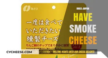 Exploring Japan's Culinary Delights: Does Smoke Cheese Exist in Japanese Cuisine?