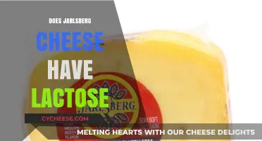 Jarlsberg Cheese and Lactose: What You Need to Know