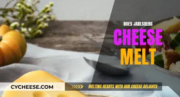 Jarlsberg Cheese Melting: A Tasty, Gooey Adventure