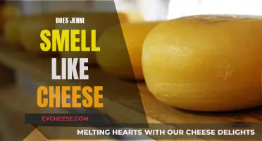 The Truth About Jenni's Cheesy Odor