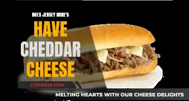 Cheese Quest: Unveiling Jersey Mike's Cheddar Secret