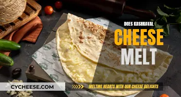 Kashkaval Cheese: Melting and Grilling Perfection