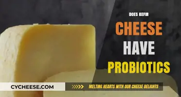 Kefir Cheese: A Probiotic-Rich Superfood or Just a Myth?