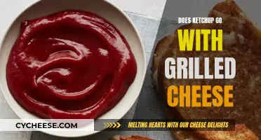 Ketchup on Grilled Cheese: A Match Made in Heaven?