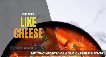 Korea's Love for Cheese: A Cultural Curiosity
