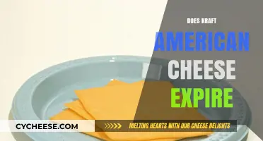Does Kraft American Cheese Expire? Shelf Life and Storage Tips