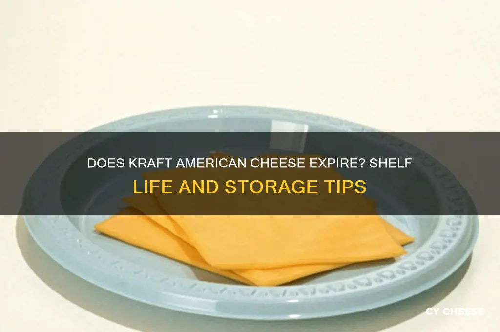 does kraft american cheese expire