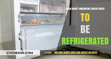 Should Kraft American Cheese Be Refrigerated? Storage Tips Revealed
