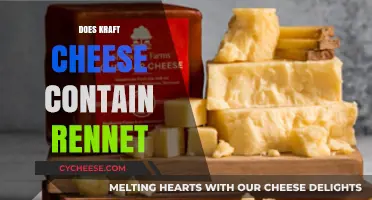 Does Kraft Cheese Contain Rennet? Uncovering the Truth About Ingredients