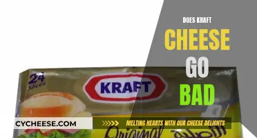 Kraft Cheese: How Long Does it Last?
