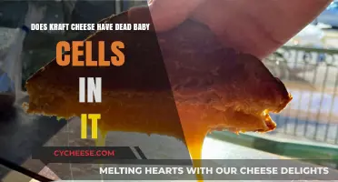 Kraft Cheese: Unraveling the Dead Baby Cells Myth and Facts