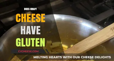 Is Kraft Cheese Gluten-Free? A Complete Guide for Cheese Lovers