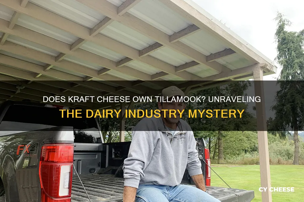 does kraft cheese own tillamook