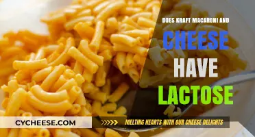 Kraft Macaroni and Cheese: Lactose-Friendly Comfort Food