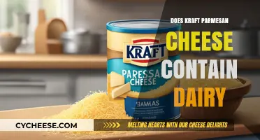 Kraft Parmesan Cheese: Is It Dairy-Free?