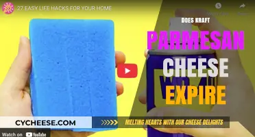 Kraft Parmesan Cheese: How Long Does It Last?