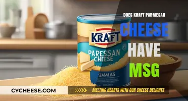 Kraft Parmesan Cheese: MSG or Not?