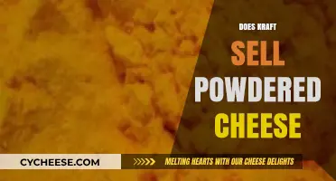 Does Kraft Sell Powdered Cheese? Uncovering the Truth Behind the Rumor