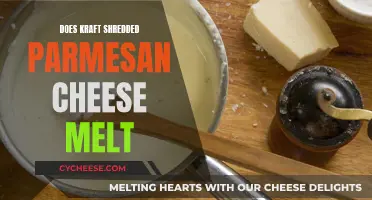 Melting Kraft Shredded Parmesan: Does It Work?