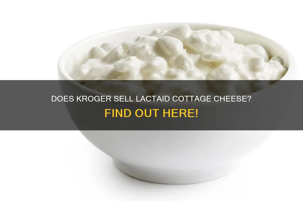 does krogers carry lactaid cottage cheese