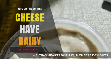 Does Lactaid Cottage Cheese Contain Dairy? Unraveling the Confusion