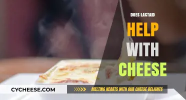 Can Lactaid Ease Cheese Digestion? Exploring Lactose Intolerance Solutions