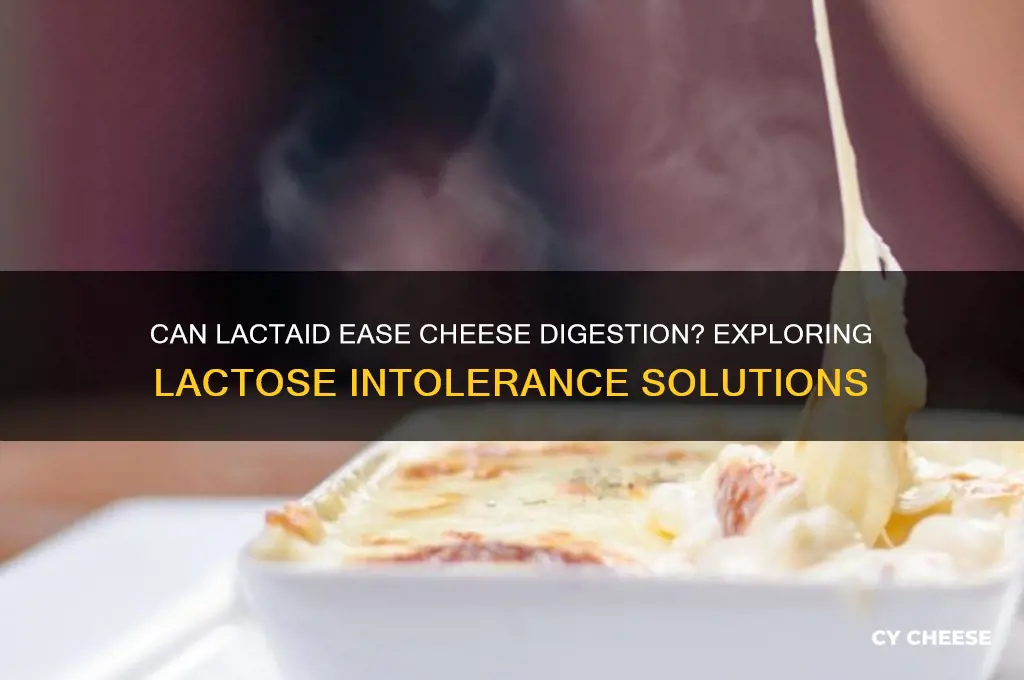 does lactaid help with cheese