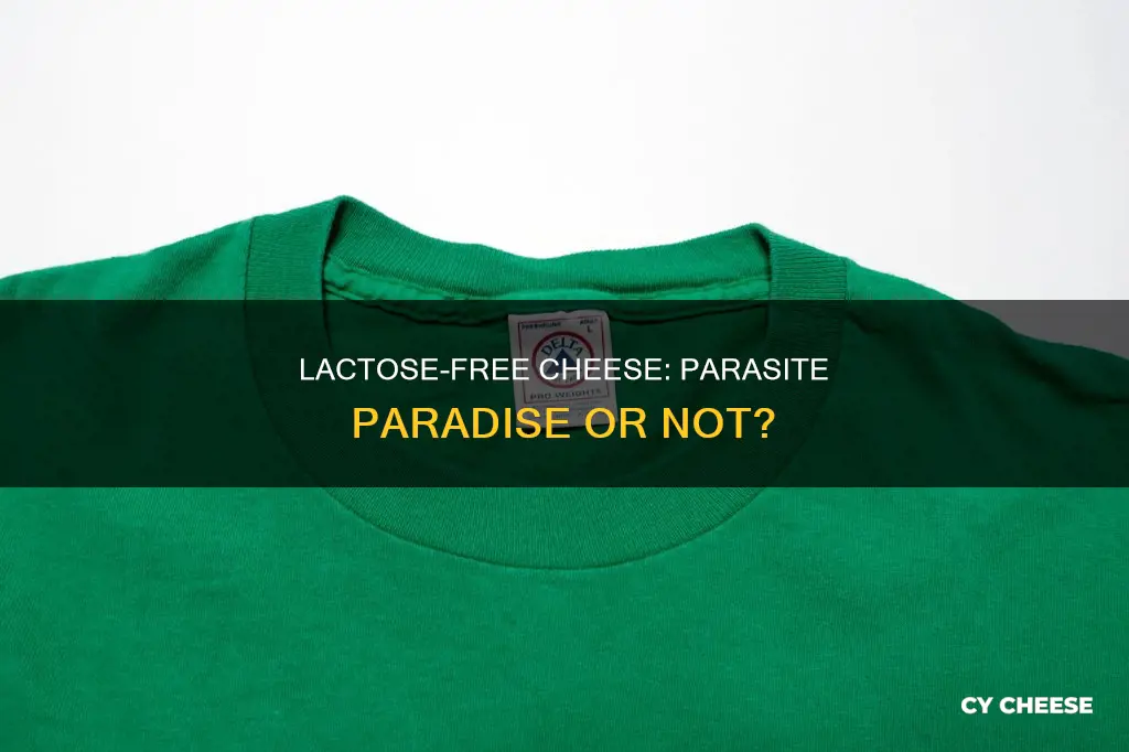 does lactose free cheese feed parasites