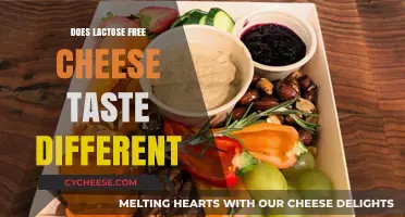 Lactose-Free Cheese: Different Taste or Mind Playing Tricks?