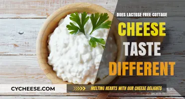 Does Lactose-Free Cottage Cheese Taste Different? A Flavor Comparison