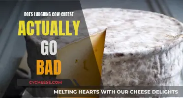 The Laughing Cow Cheese: Does it Ever Go Bad?