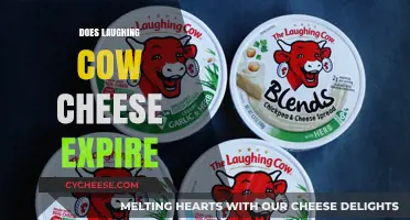 Does Laughing Cow Cheese Expire? Shelf Life and Storage Tips