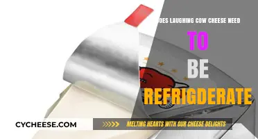 Does Laughing Cow Cheese Require Refrigeration? Storage Tips Revealed