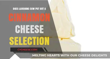 The Laughing Cow: Cinnamon Cheese, a Sweet Surprise?