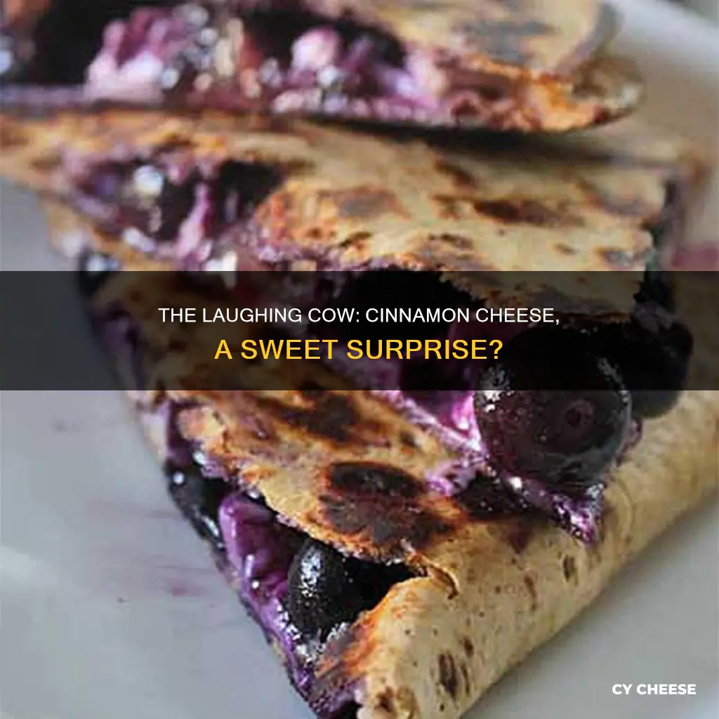 does laughing cow put out a cinnamon cheese selection