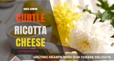 Lemon Curd and Ricotta Cheese: A Perfect Match or Miss?