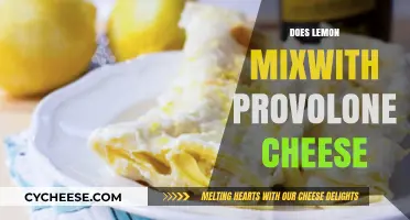 Lemon and Provolone Cheese: A Surprising Culinary Pairing Explored